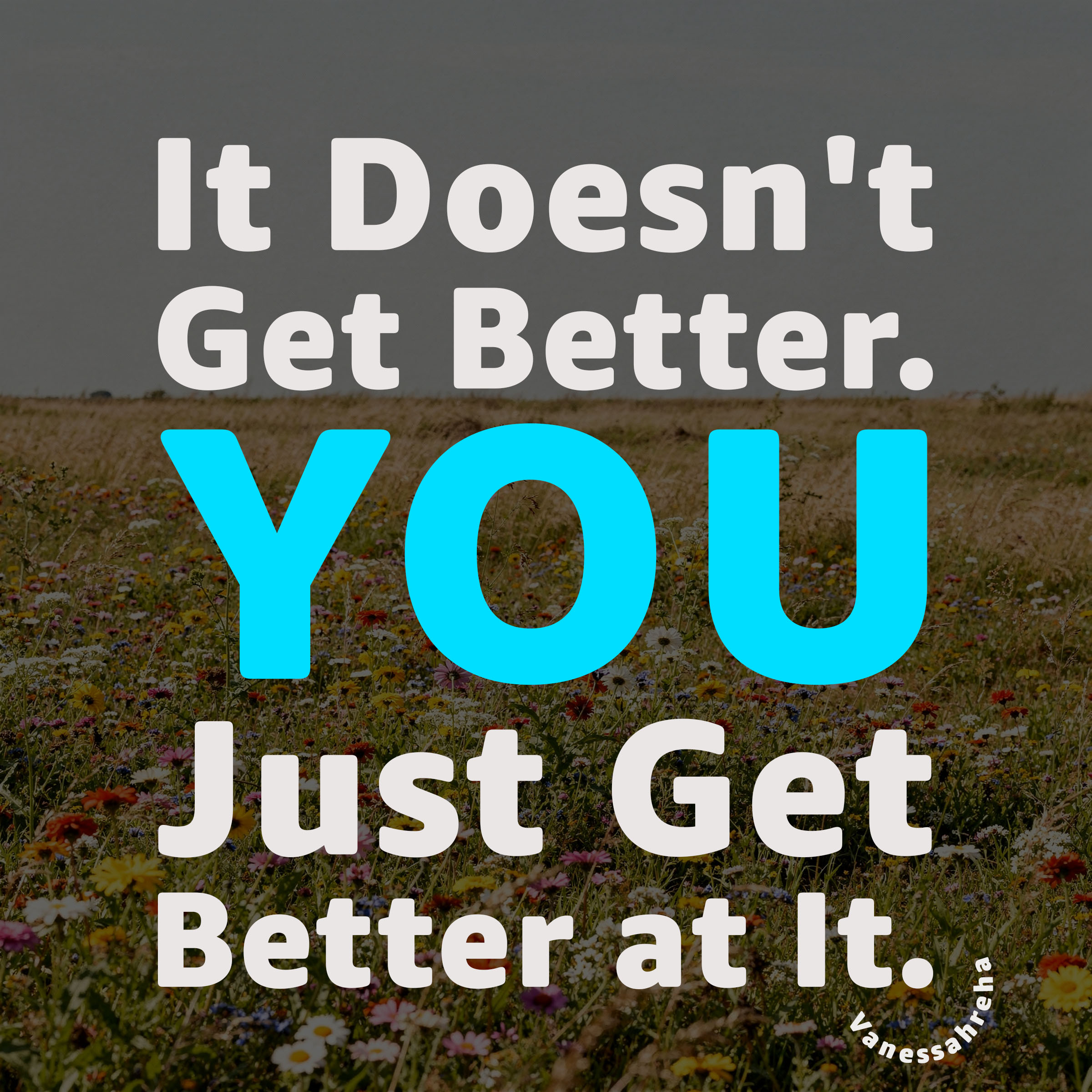 It Doesn't Get Better. You Just Get Better at It.